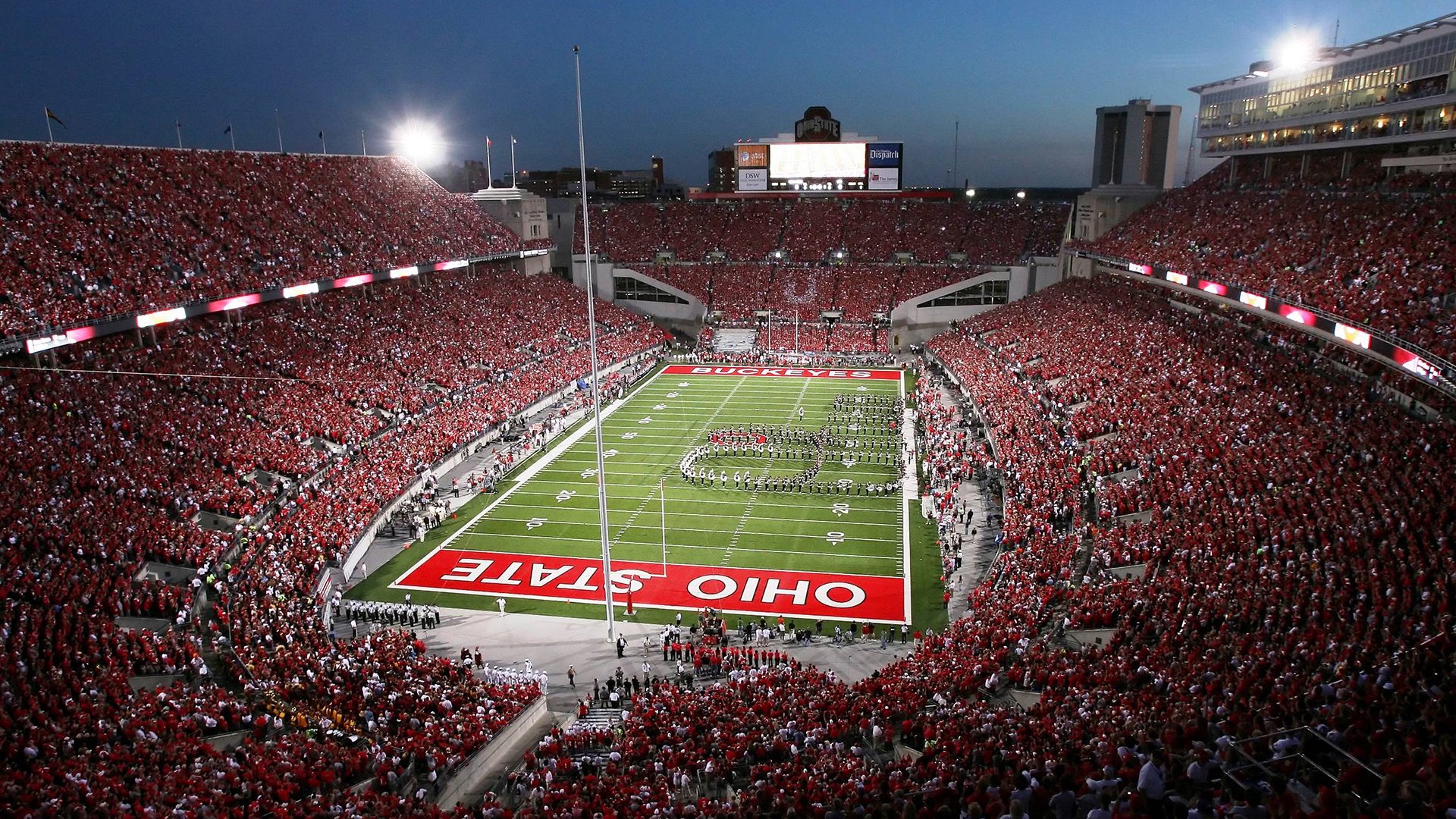 青少年传统武术表演，文化与运动的双重盛宴，青少年武术锦标赛